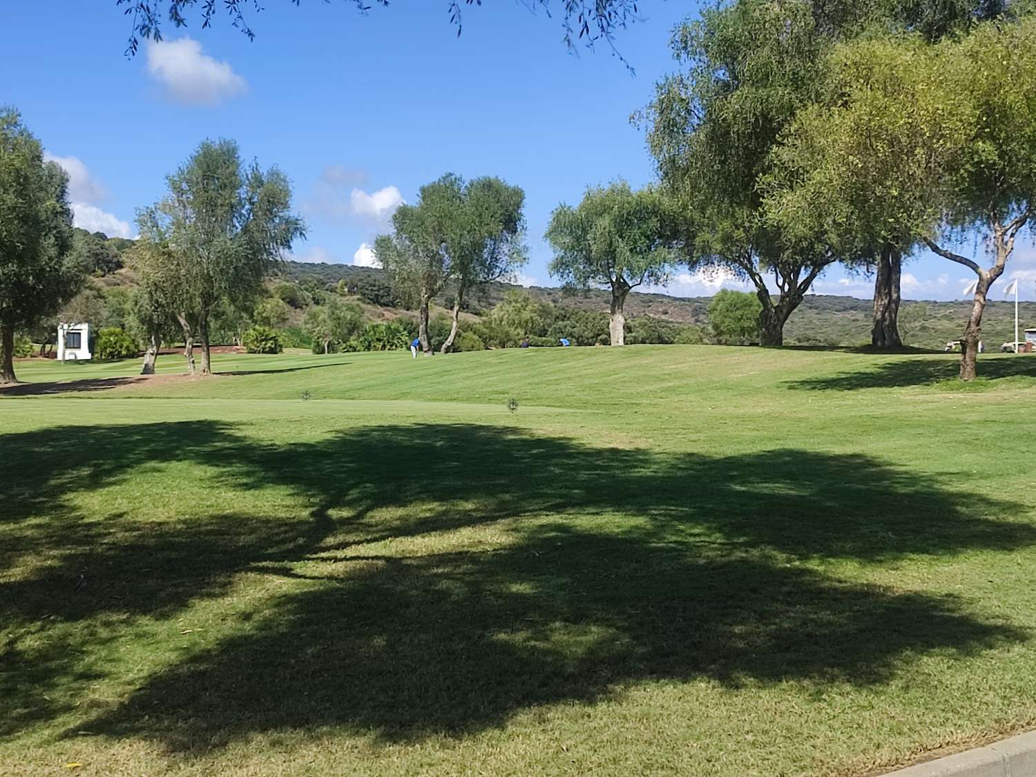 别墅 出售 在 Sotogrande Alto