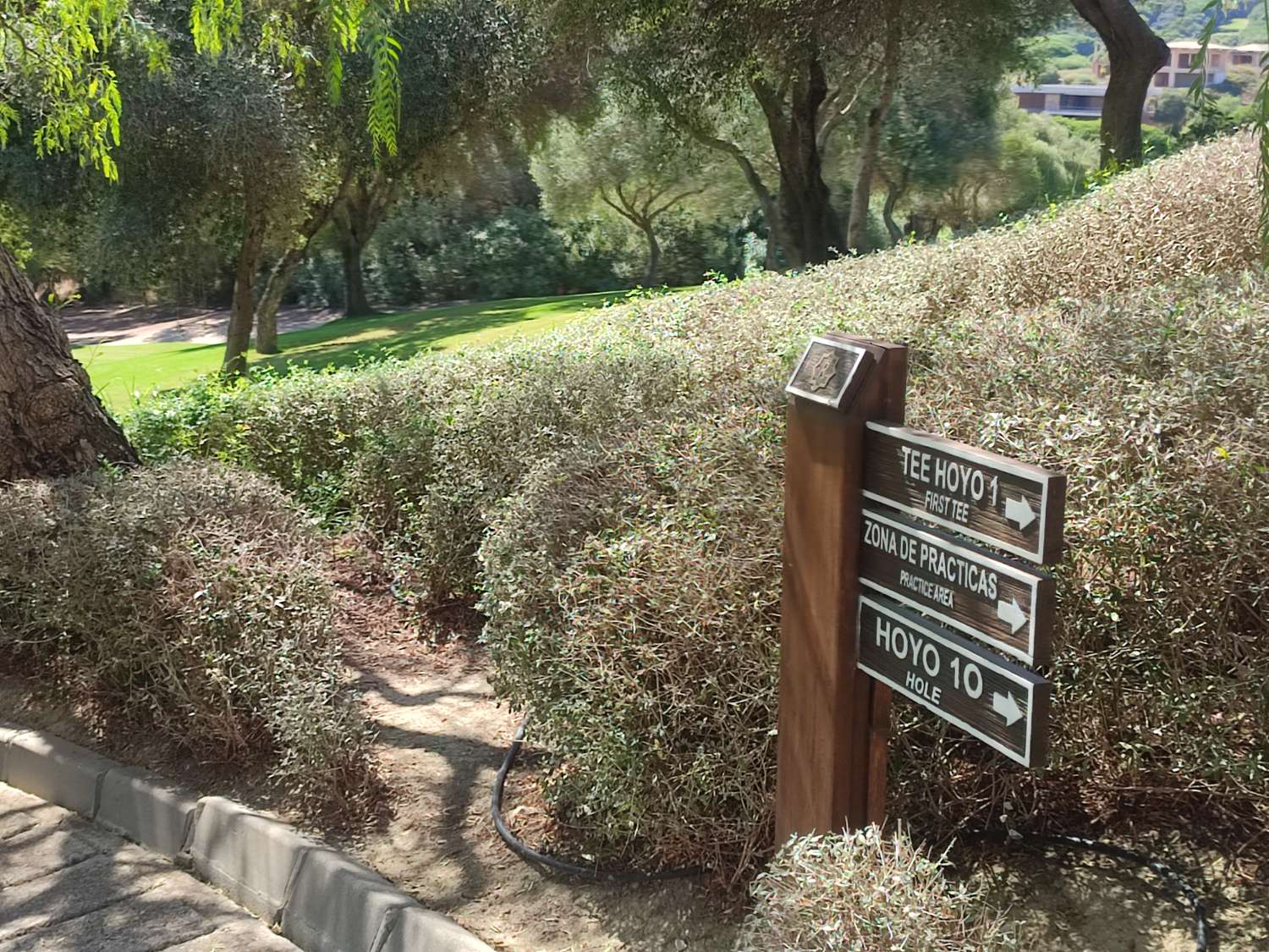 别墅 出售 在 Sotogrande Alto