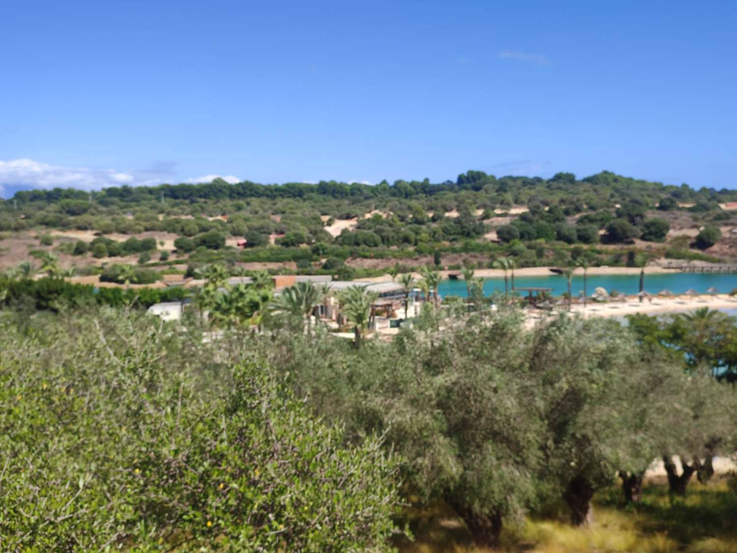 Ultimas parcelas disponibles  en la reserva de Sotogrande  CADIZ