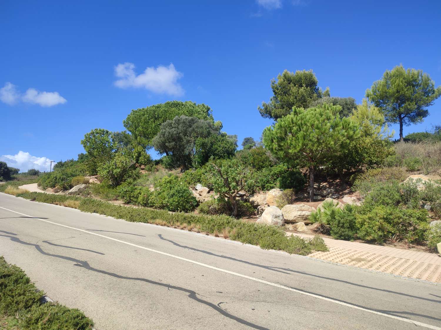 Ultimas parcelas disponibles  en la reserva de Sotogrande  CADIZ