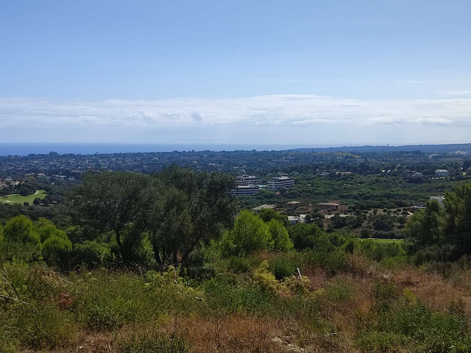 Ultimas parcelas disponibles  en la reserva de Sotogrande  CADIZ