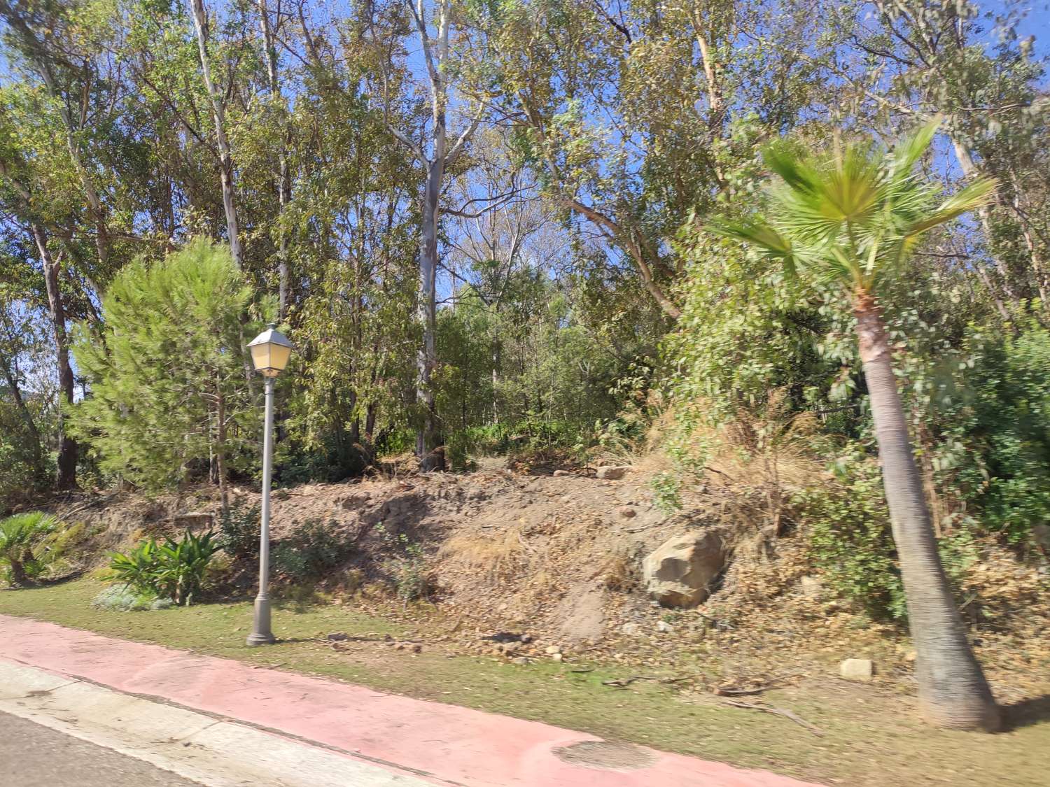 Ultimas parcelas disponibles  en la reserva de Sotogrande  CADIZ