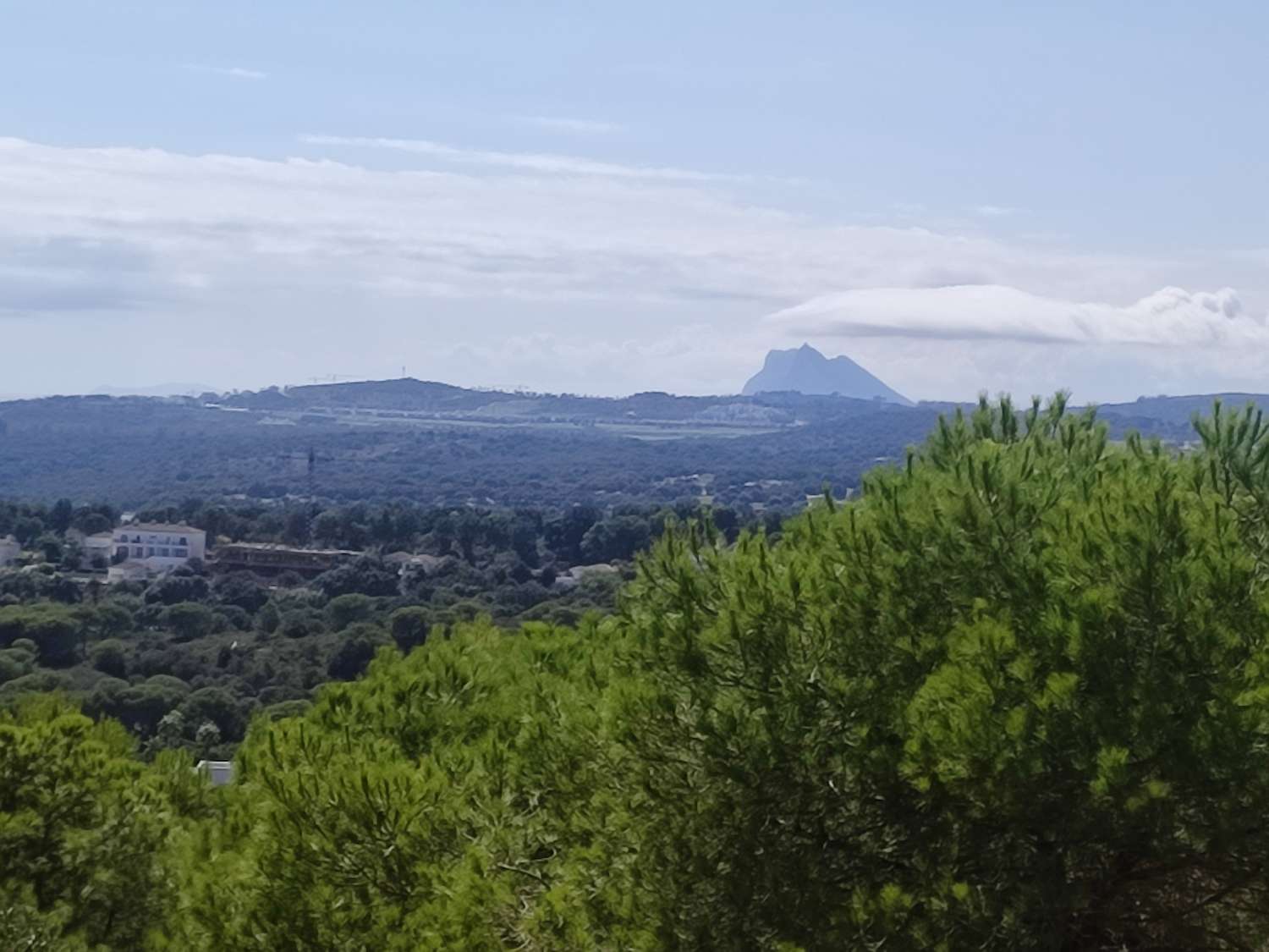 Ultimas parcelas disponibles  en la reserva de Sotogrande  CADIZ