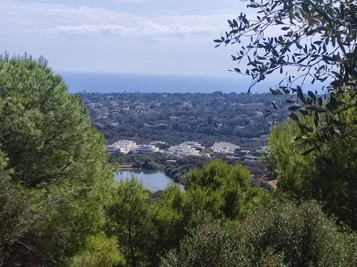 Ultimas parcelas disponibles  en la reserva de Sotogrande  CADIZ