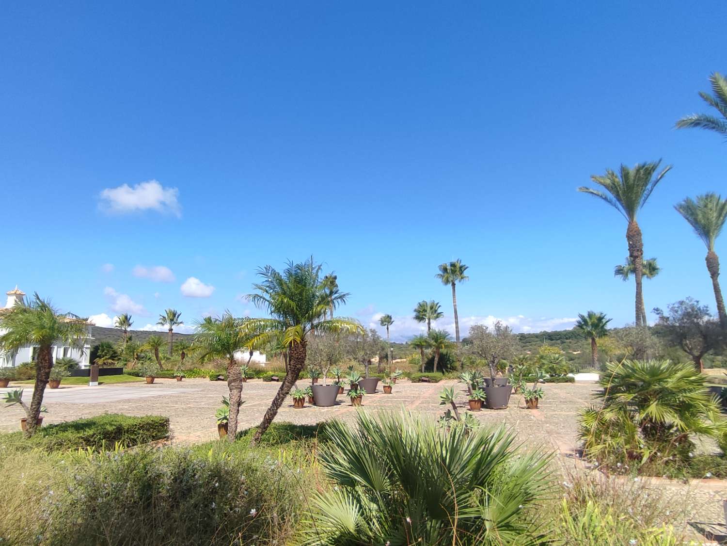 Ultimas parcelas a la venta en Sotogrande, desde 840.000 euros . CADIZ