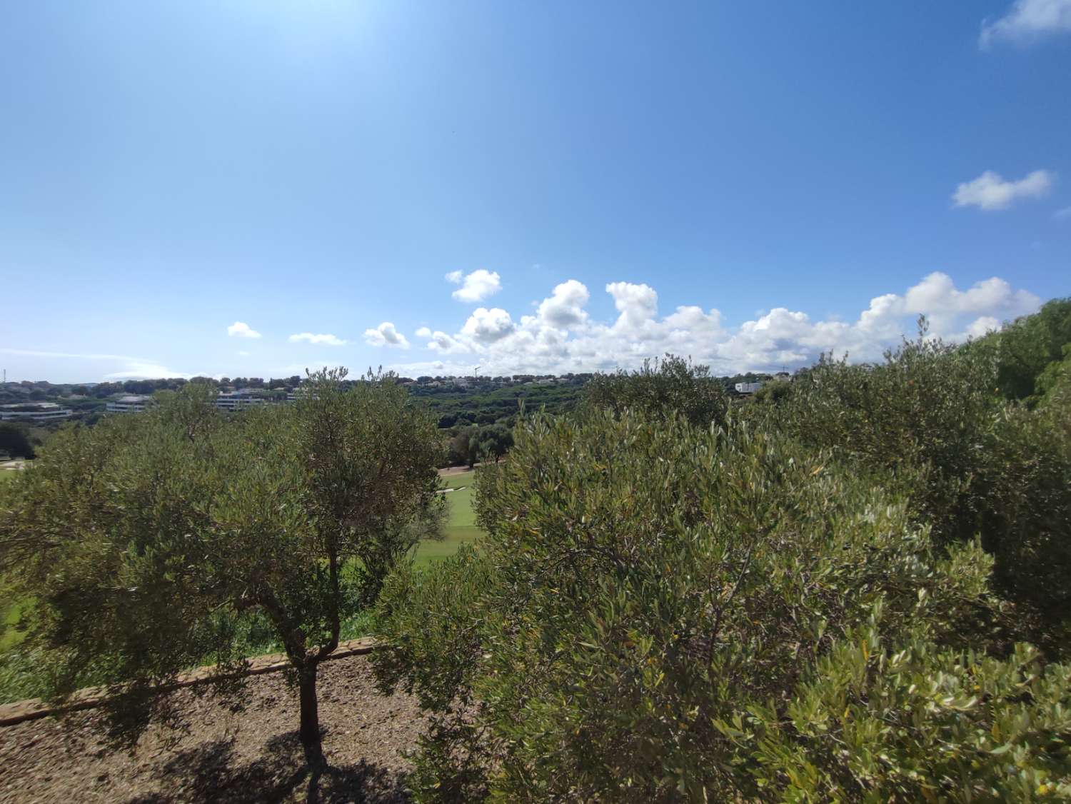 Ultimas parcelas a la venta en Sotogrande, desde 840.000 euros . CADIZ