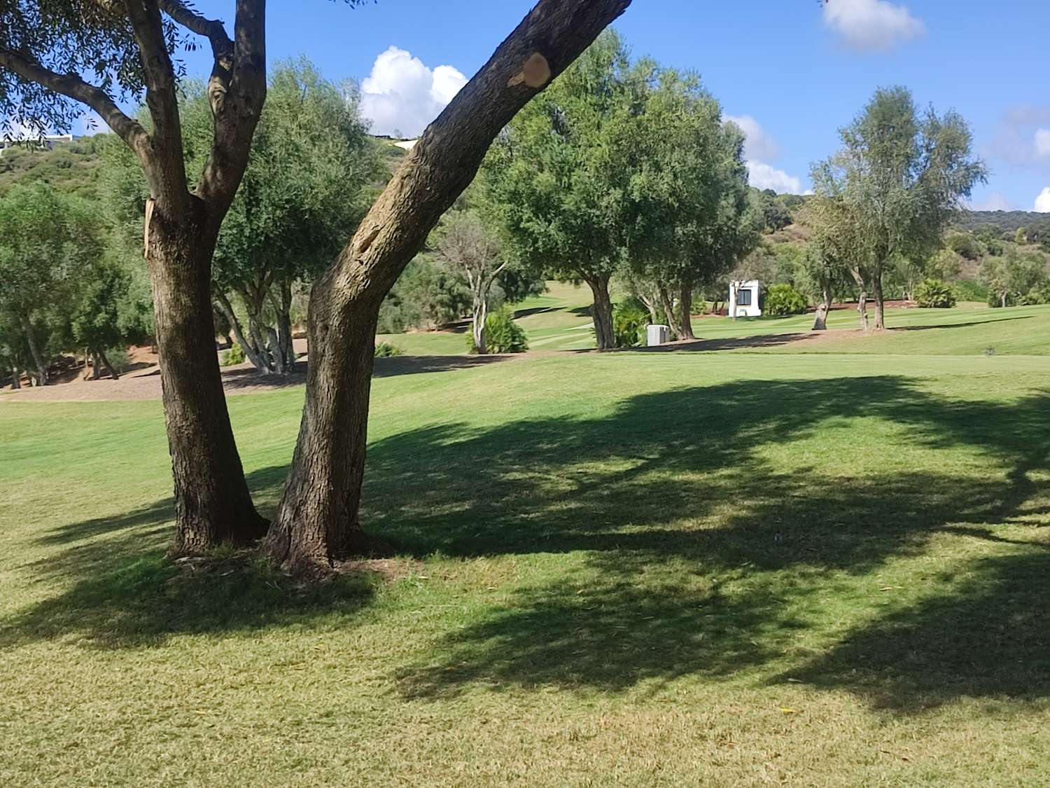 Ultimas parcelas a la venta en Sotogrande, desde 840.000 euros . CADIZ