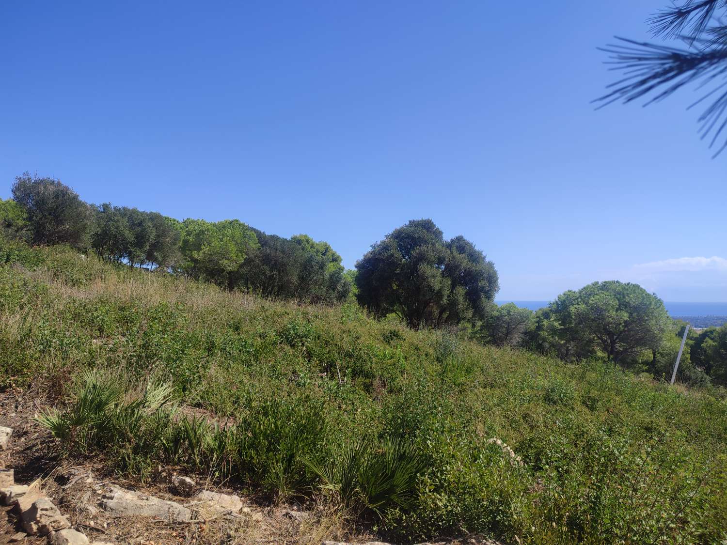 Ultimas parcelas a la venta en Sotogrande, desde 840.000 euros . CADIZ