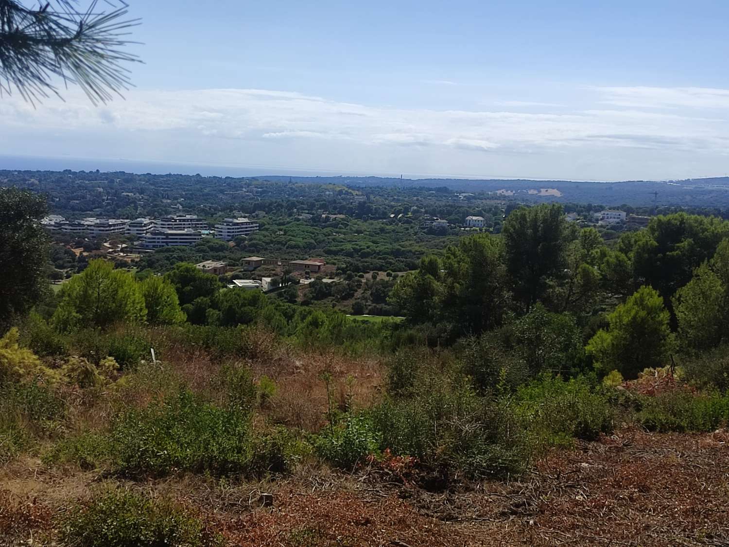 Ultimas parcelas a la venta en Sotogrande, desde 840.000 euros . CADIZ