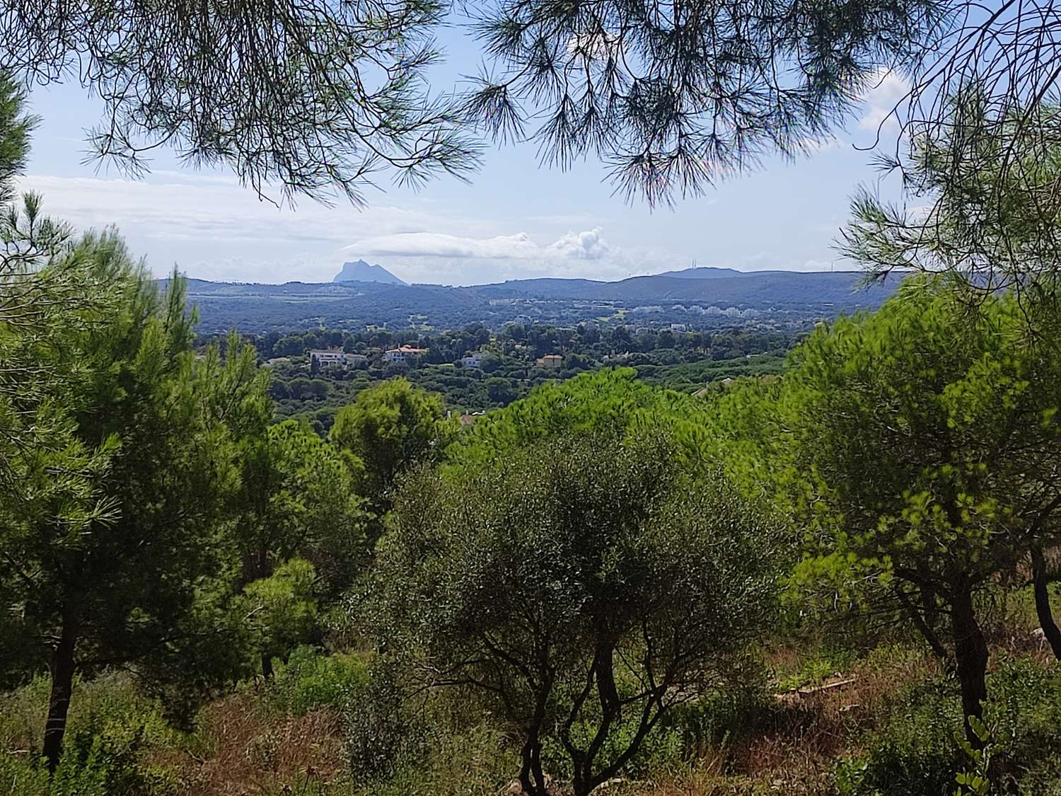 Ultimas parcelas a la venta en Sotogrande, desde 840.000 euros . CADIZ