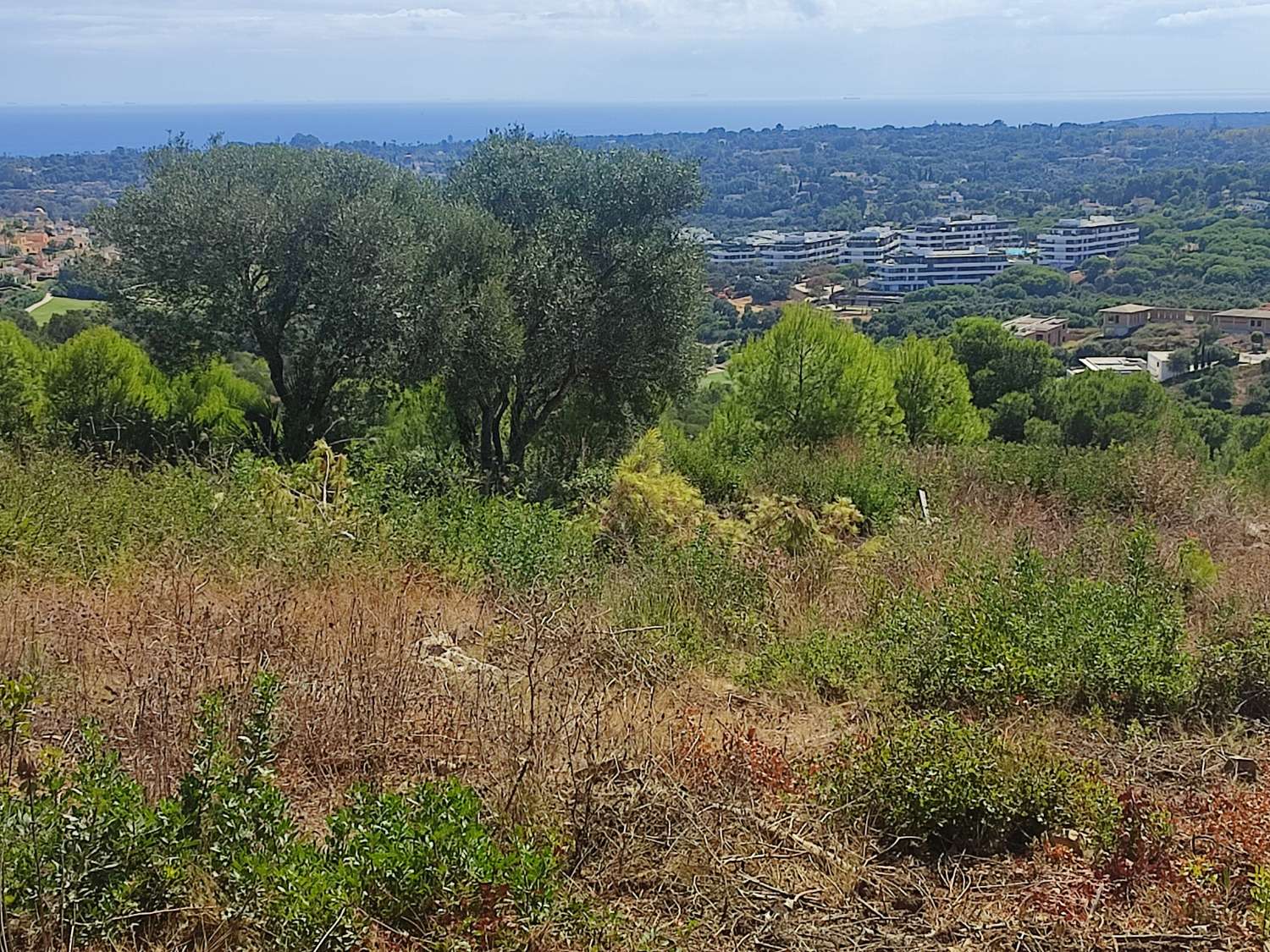 Ultimas parcelas a la venta en Sotogrande, desde 840.000 euros . CADIZ