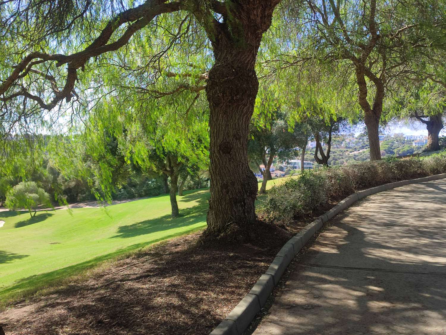 Ultimas parcelas a la venta en Sotogrande, desde 840.000 euros . CADIZ