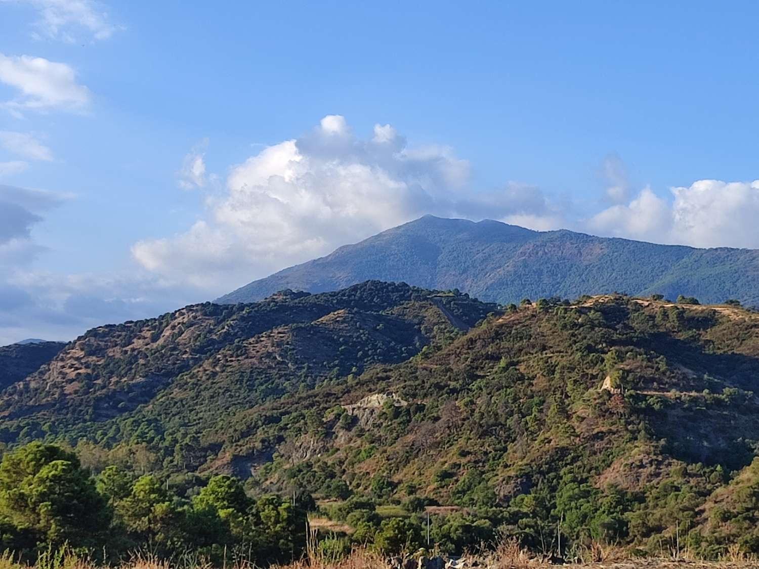 MAGNIFICA  PARCELA DE 2723 M2 , EN BENAHAVÍS , MARBELLA