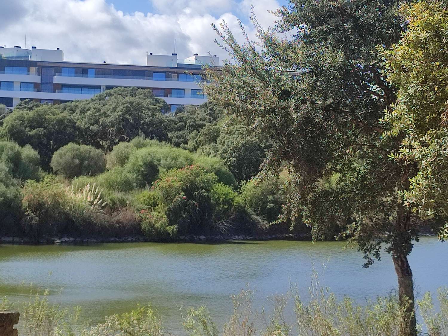 ULTIMOS APARTAMENTOS DISPONIBLES en Sotogrande