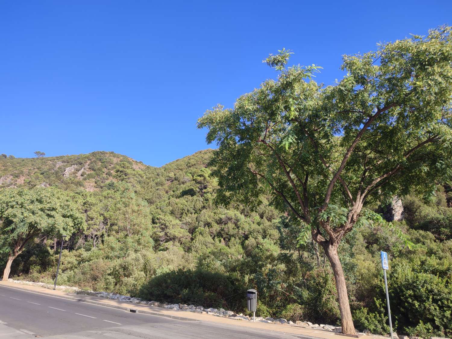 Residencias exclusivas Casares Cortesín Málaga