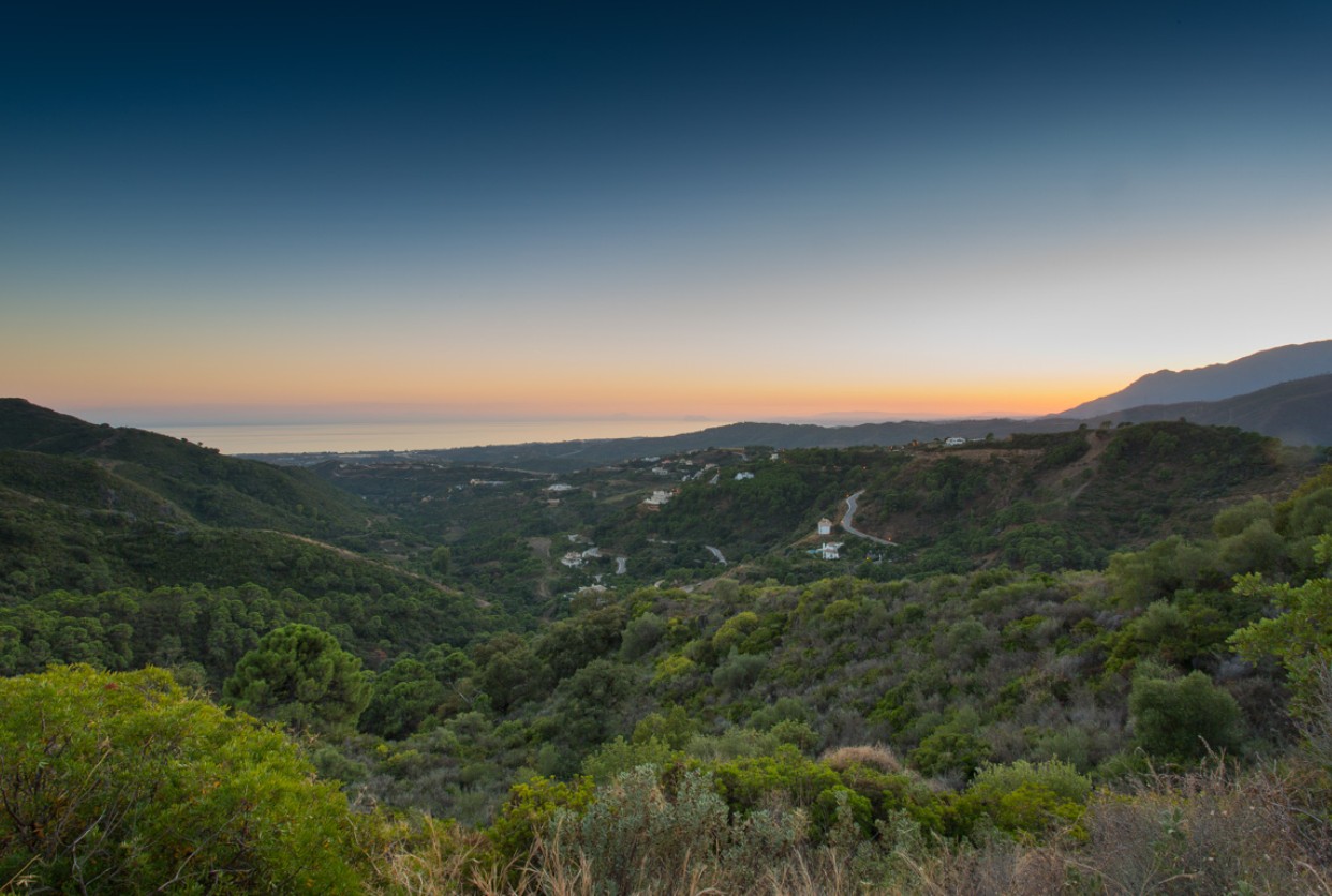 Exclusive luxury villa design