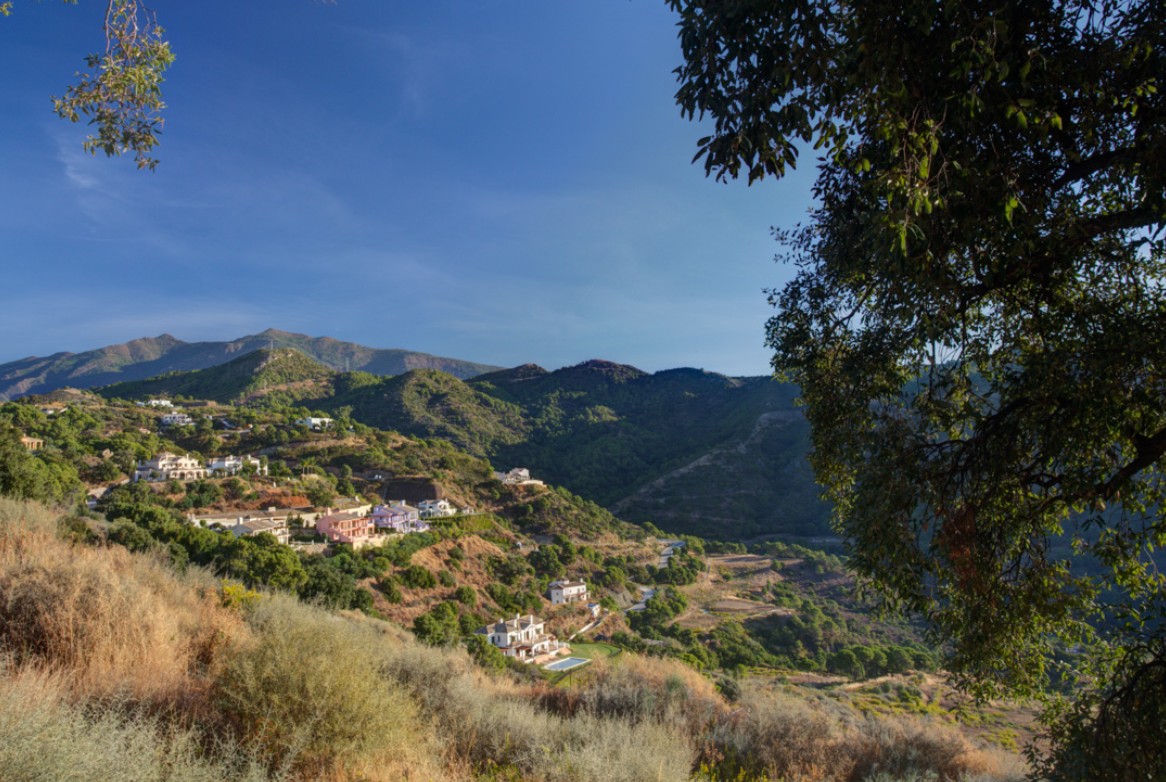 Exclusive luxury villa design