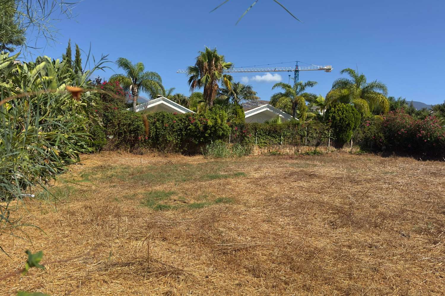 Parcela ubicada en la exclusiva Avenida del Prado,  MARBELLA