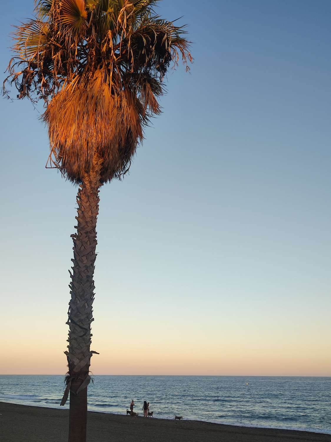 Penthouses in Elviria, Marbella