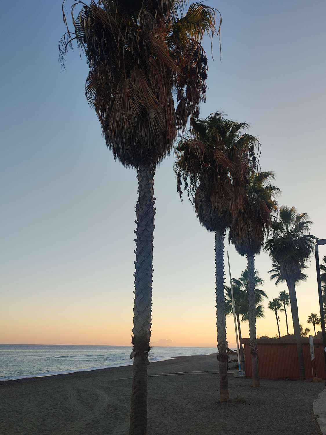 Bajo con jardín y vistas al mar , en Casares costa , Estepona
